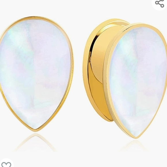 Casvort 2 PCS 00G Hypoallergenic 316 Stainless Steel Wedding Counch Shell Guage - Picture 4 of 9